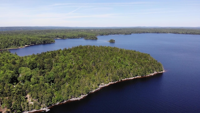 297 High Head Rd, East Machias, ME 04630 - photo 93