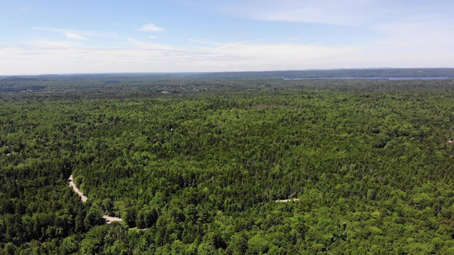 297 High Head Rd, East Machias, ME 04630 - photo 96