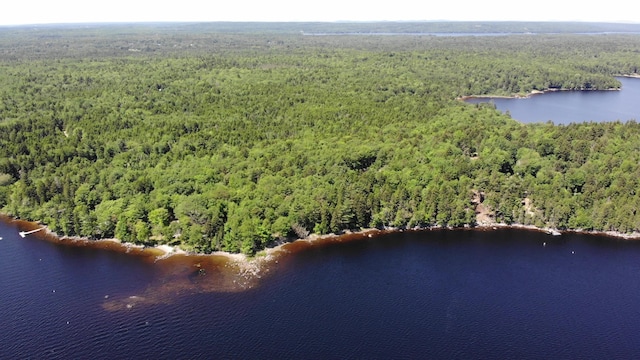297 High Head Rd, East Machias, ME 04630 - photo 97
