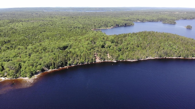 297 High Head Rd, East Machias, ME 04630 - photo 10