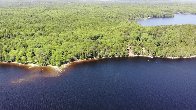 297 High Head Rd, East Machias, ME 04630 - photo 98