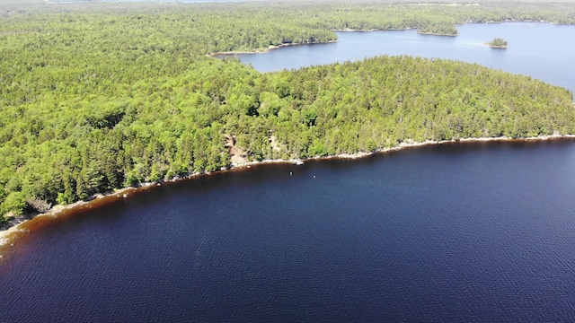 297 High Head Rd, East Machias, ME 04630 - photo 99