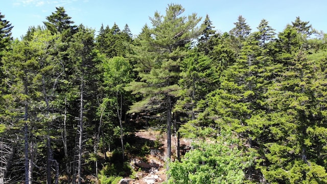 297 High Head Rd, East Machias, ME 04630 - photo 100