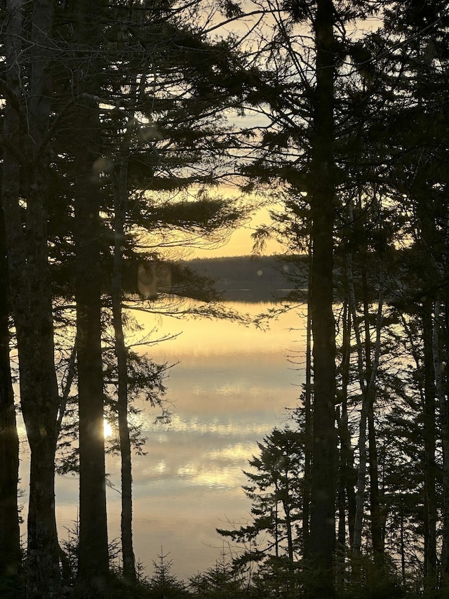 297 High Head Rd, East Machias, ME 04630 - photo 41