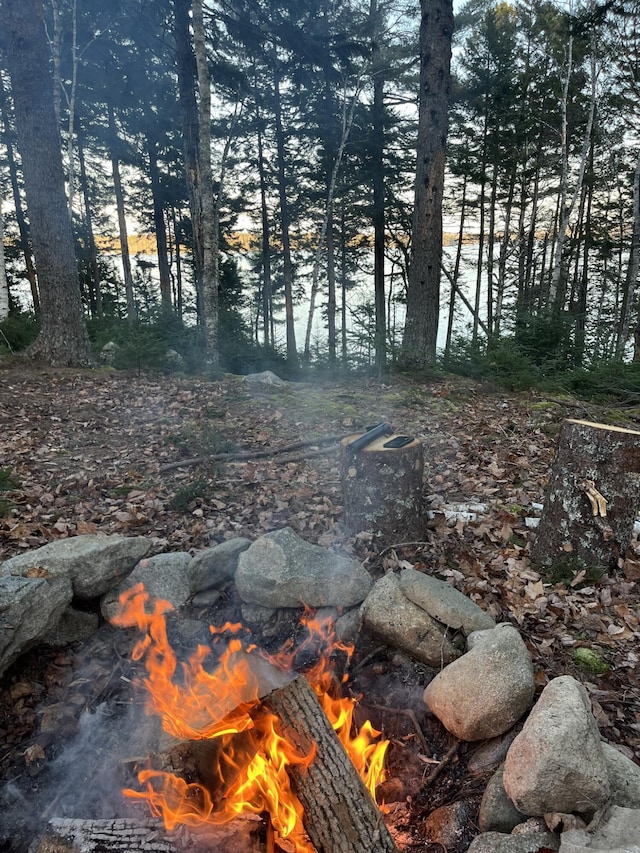 297 High Head Rd, East Machias, ME 04630 - photo 8
