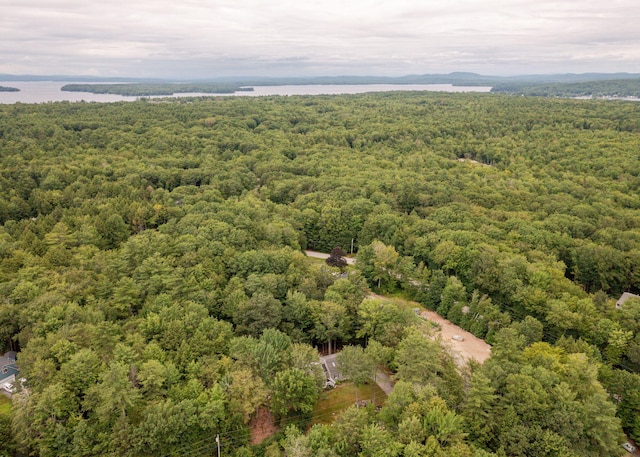 11 Twin Springs Dr, Standish, ME 04084 - photo 60