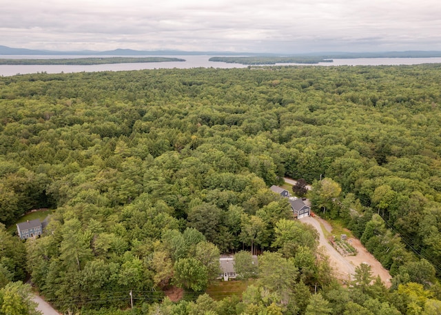 11 Twin Springs Dr, Standish, ME 04084 - photo 5