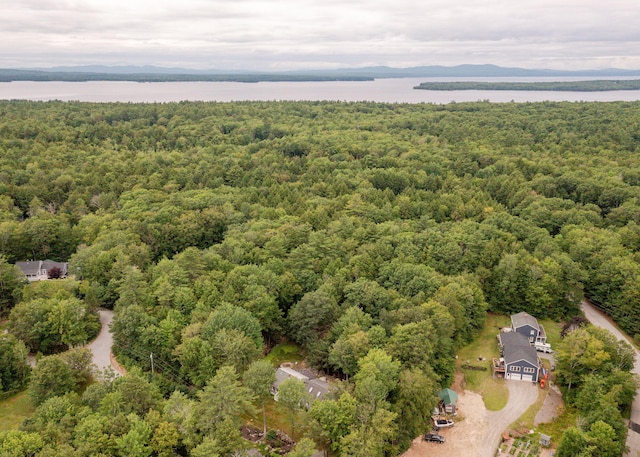 11 Twin Springs Dr, Standish, ME 04084 - photo 56