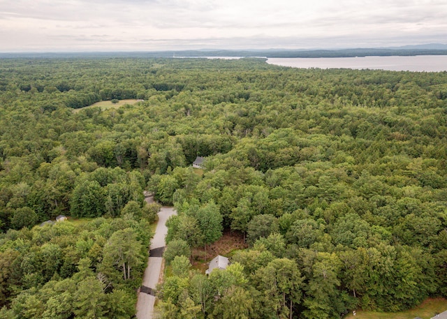11 Twin Springs Dr, Standish, ME 04084 - photo 57