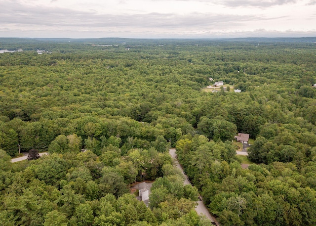 11 Twin Springs Dr, Standish, ME 04084 - photo 58