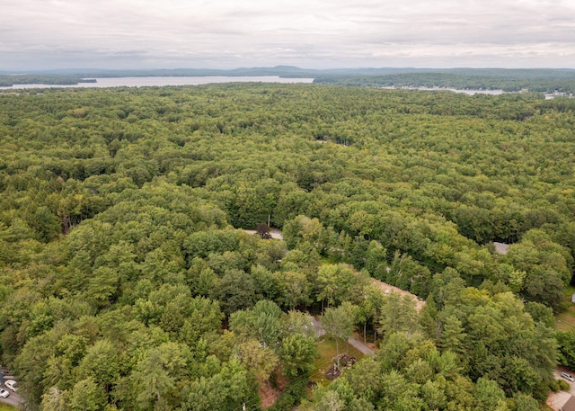 11 Twin Springs Dr, Standish, ME 04084 - photo 59