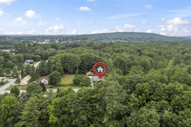 38 Tarr Ave, Lewiston, ME 04240 - aerial view of property and surrounding area featuring a heavily wooded area