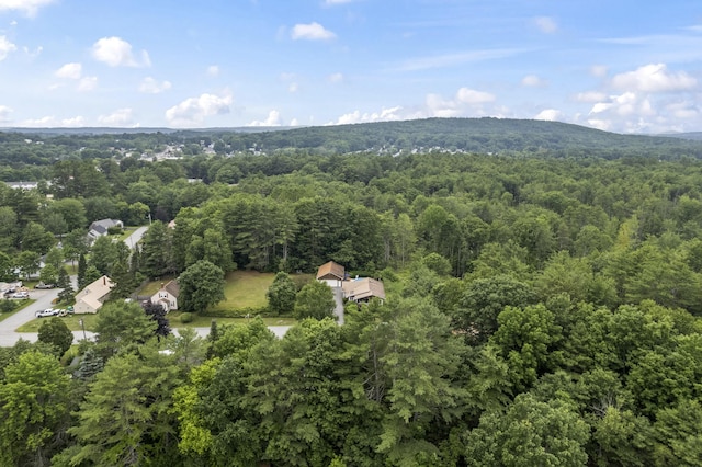 38 Tarr Ave, Lewiston, ME 04240 - view of property location featuring a heavily wooded area