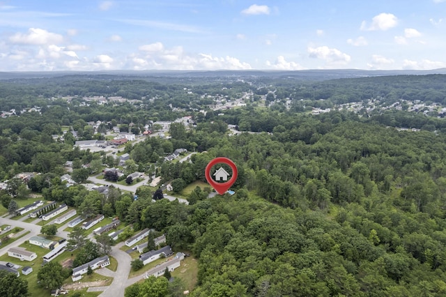 38 Tarr Ave, Lewiston, ME 04240 - view of property location with a heavily wooded area