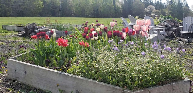 341 US Route 1, Weston, ME 04424 - photo 26