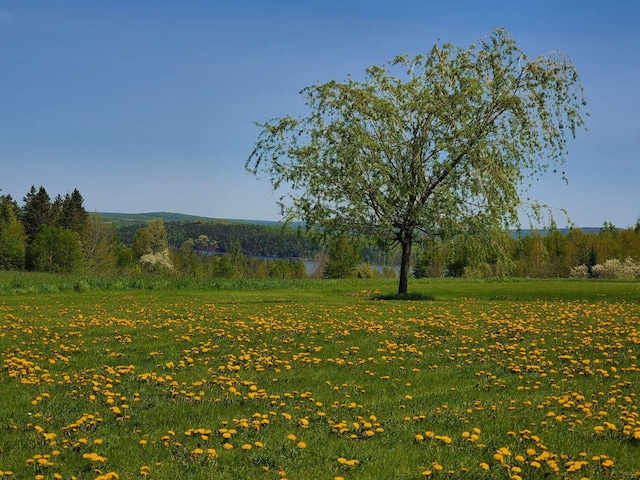 341 US Route 1, Weston, ME 04424 - photo 37
