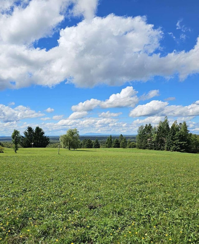 341 US Route 1, Weston, ME 04424 - photo 38