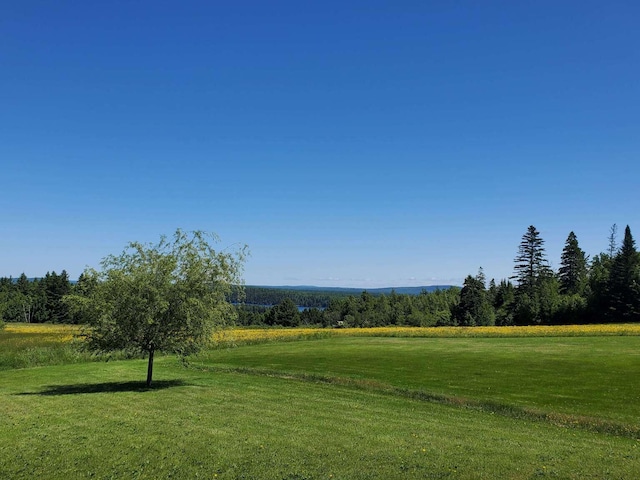 341 US Route 1, Weston, ME 04424 - photo 41