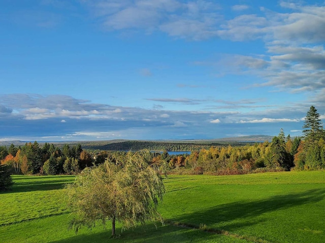 341 US Route 1, Weston, ME 04424 - photo 42