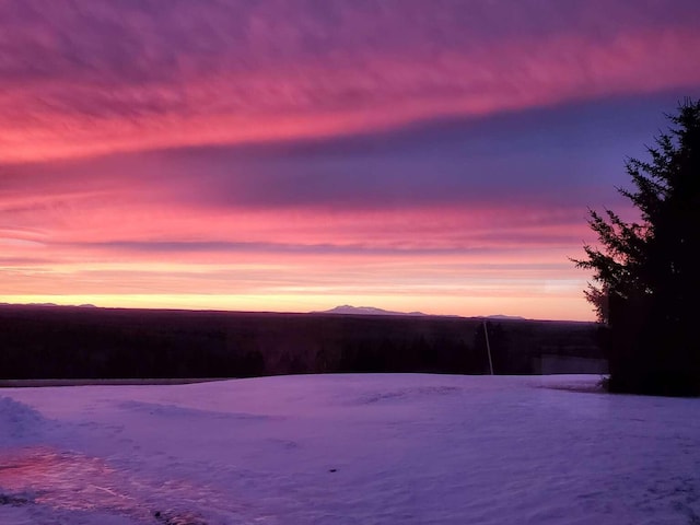 341 US Route 1, Weston, ME 04424 - photo 47