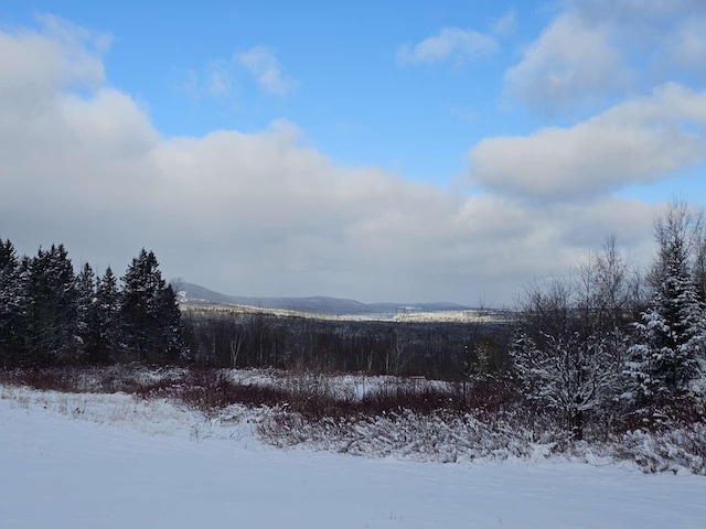 341 US Route 1, Weston, ME 04424 - photo 48