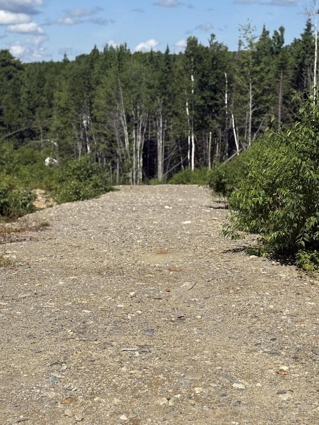 13E Moores Rd, Springfield, ME 04487