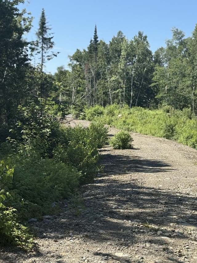 13E Moores Rd, Springfield, ME 04487