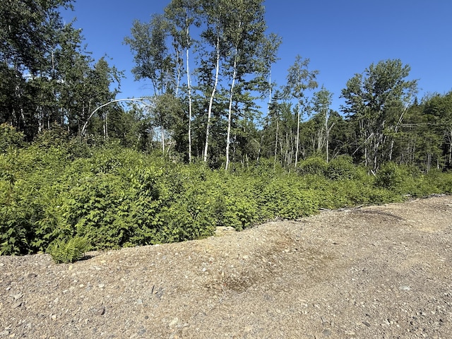13E Moores Rd, Springfield, ME 04487
