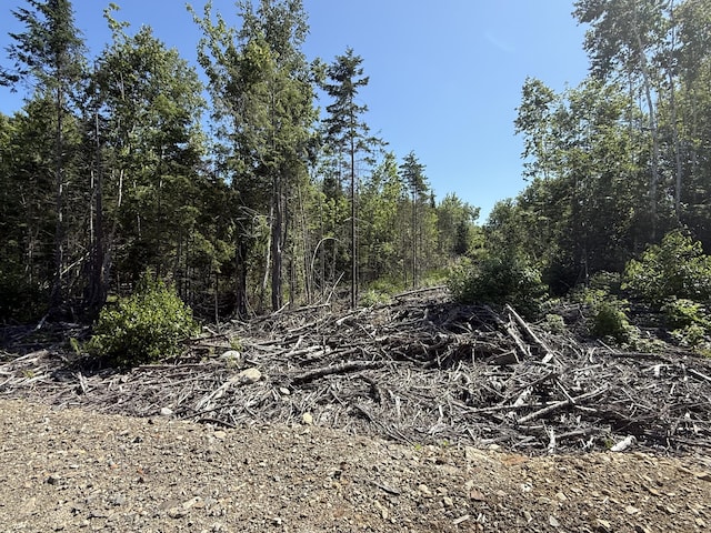 13E Moores Rd, Springfield, ME 04487