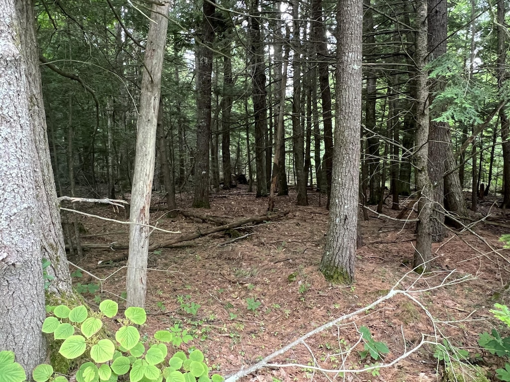 110/009 Mast Hill Rd, Saco, ME 04072 - photo 1