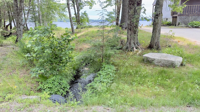 270 Grant Rd, Sullivan, ME 04664 - view of yard featuring a water view