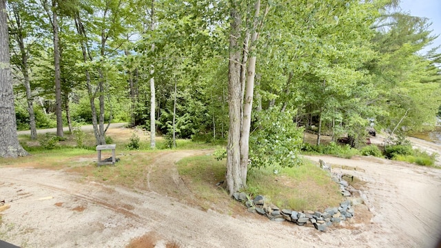 270 Grant Rd, Sullivan, ME 04664 - view of dirt / gravel road