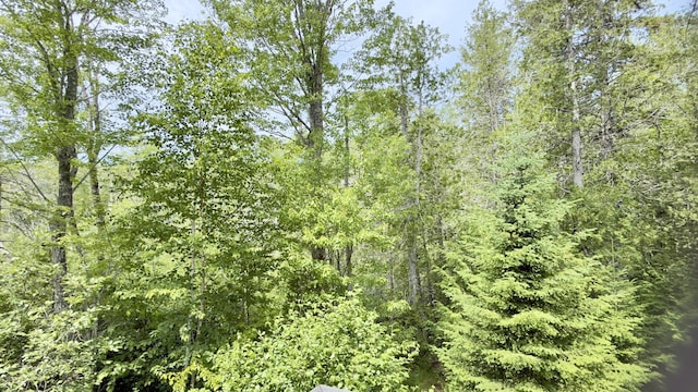 270 Grant Rd, Sullivan, ME 04664 - view of tree filled area