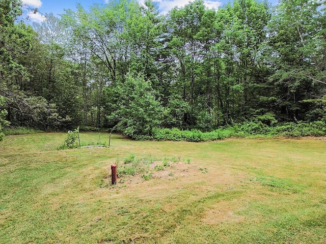 329 Reed Rd, Windsor, ME 04363 - view of green lawn