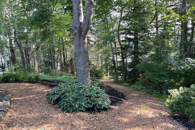 93 Governors Point Rd, Harpswell, ME 04079 - photo 16