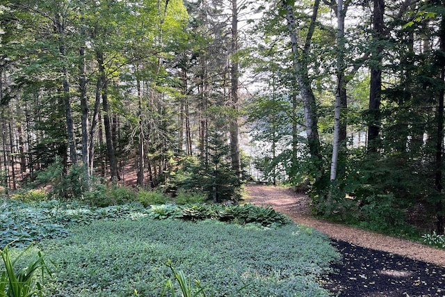 93 Governors Point Rd, Harpswell, ME 04079 - photo 17