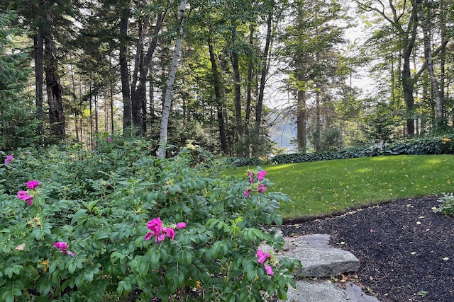 93 Governors Point Rd, Harpswell, ME 04079 - photo 20