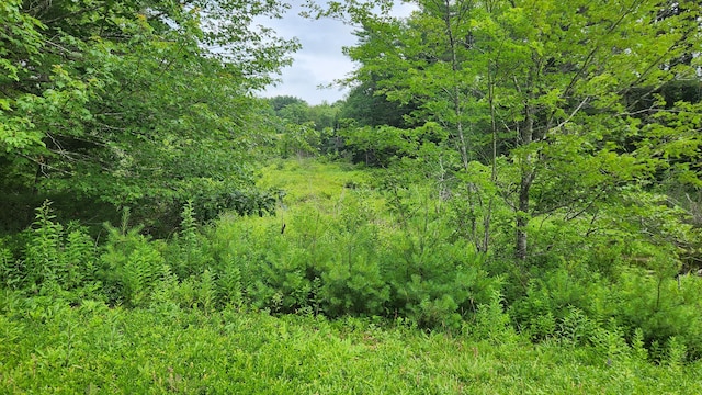 00 Dana Mill Rd, Woolwich, ME 04579