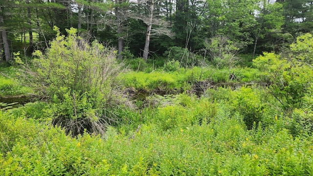 00 Dana Mill Rd, Woolwich, ME 04579