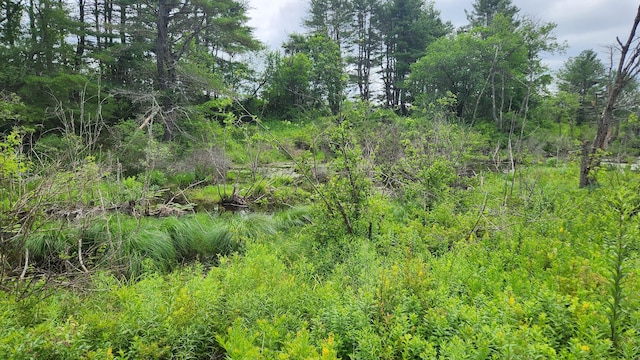 00 Dana Mill Rd, Woolwich, ME 04579