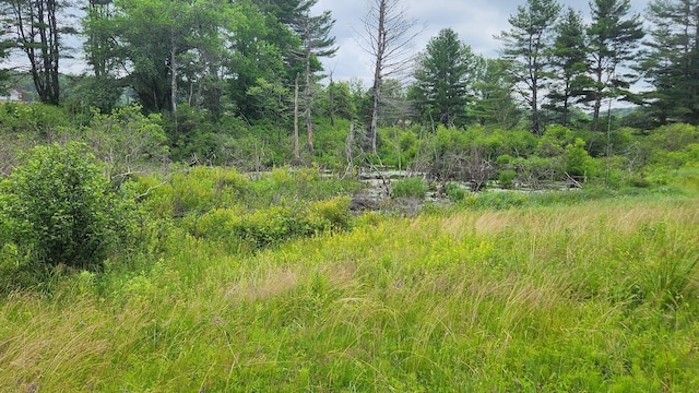 00 Dana Mill Rd, Woolwich, ME 04579