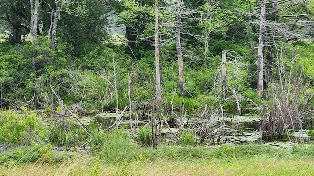 00 Dana Mill Rd, Woolwich, ME 04579