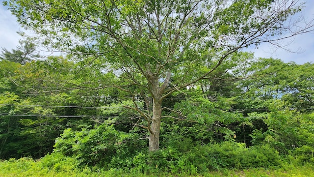 00 Dana Mill Rd, Woolwich, ME 04579
