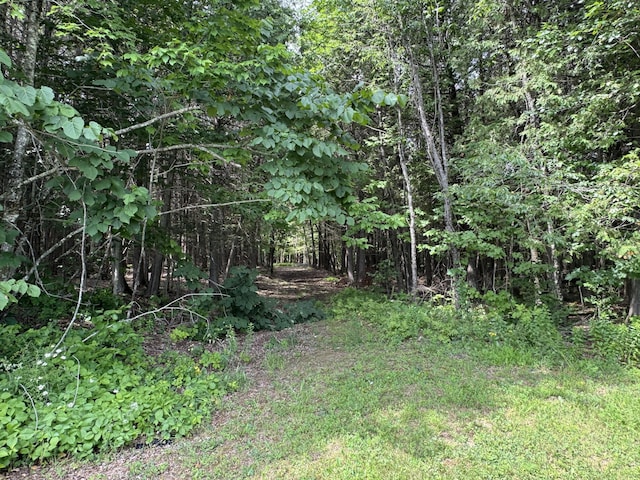 1698 Exeter Rd, Exeter, ME 04435 - view of tree filled area