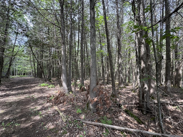 1698 Exeter Rd, Exeter, ME 04435 - view of woods