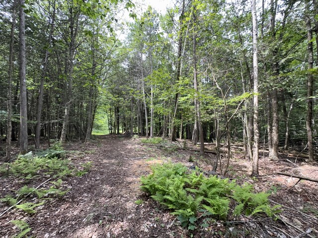 1698 Exeter Rd, Exeter, ME 04435 - view of street featuring a forest view