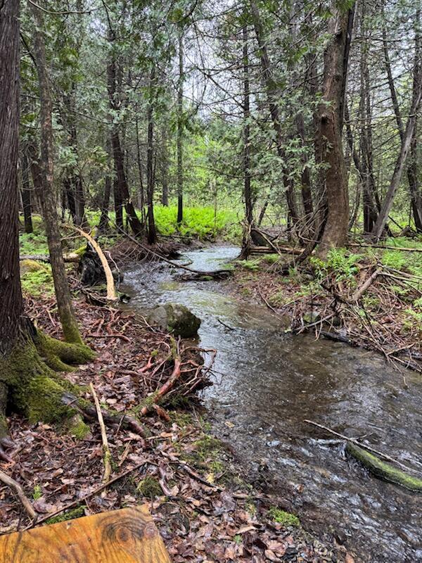 1698 Exeter Rd, Exeter, ME 04435 - view of undeveloped land