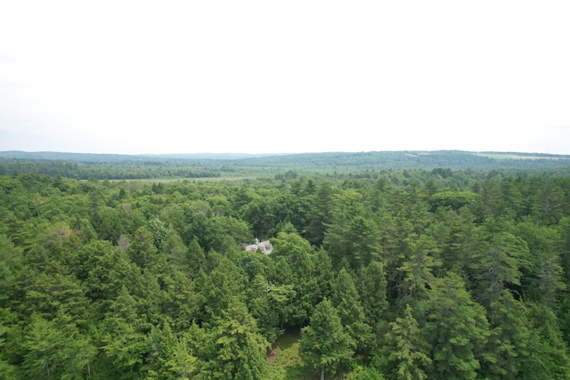 542 Hanson Rd, China, ME 04358 - photo 61
