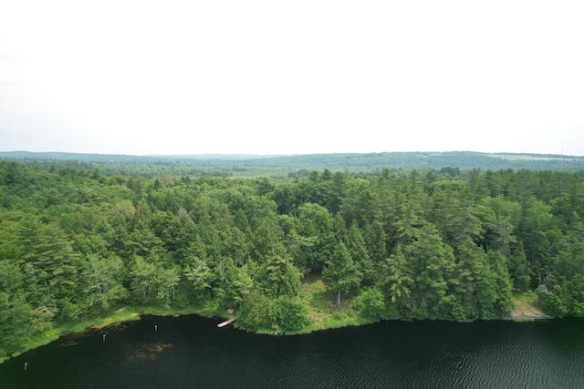 542 Hanson Rd, China, ME 04358 - photo 62