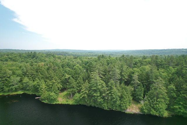 542 Hanson Rd, China, ME 04358 - photo 63